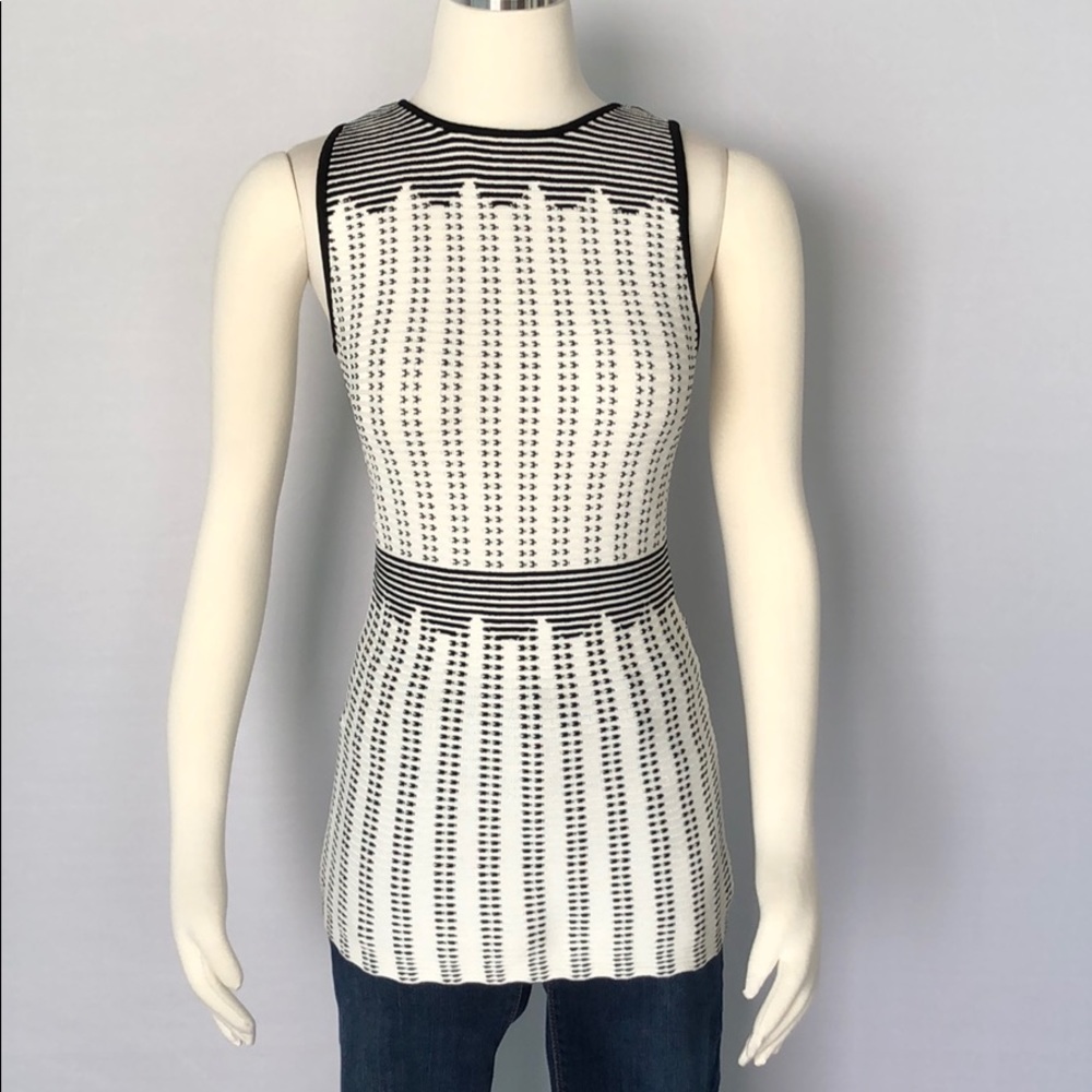 NWT WHBM Sleeveless Graphic Dot Sweater XS - Picture 4 of 15